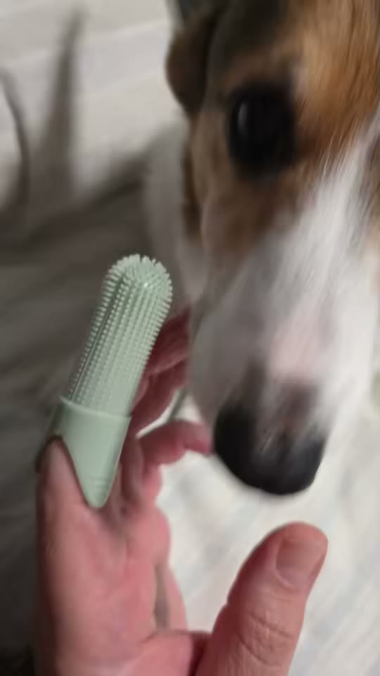 PawSmile 360 Dog Dental Kit