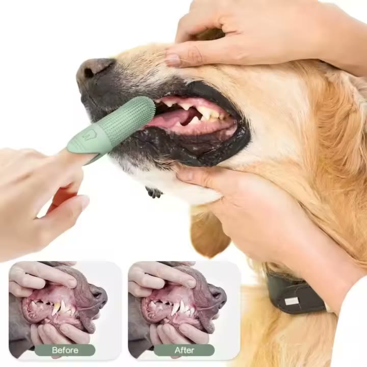 PawSmile 360 Dog Dental Kit