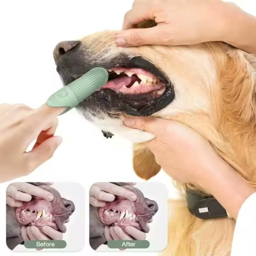 PawSmile 360 Dog Dental Kit
